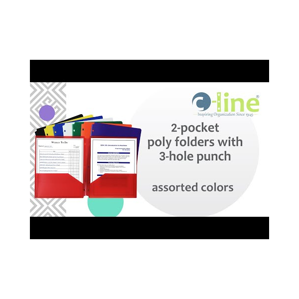 Two-Pocket Heavyweight Poly Portfolio Folder, 1/EA - 33930
