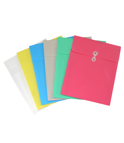 Reusable Poly Envelope with String Closure, Top Load, Assorted, 1/EA, 58020