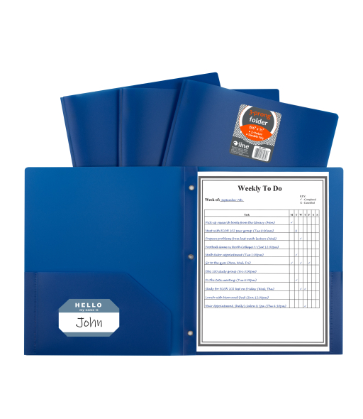 Two-Pocket Heavyweight Poly Portfolio Folder with Prongs, Blue, 1/EA, 33965